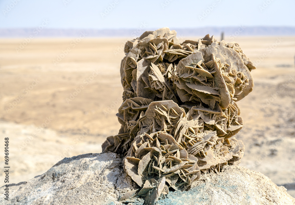 Φωτογραφία Desert rose
