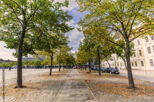 Baumallee am Domplatz in Magdeburg