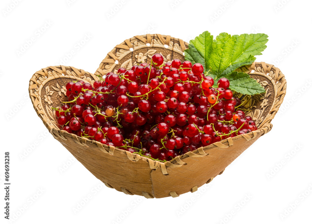 Red currant Red currant