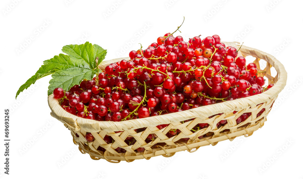 Red currant Red currant