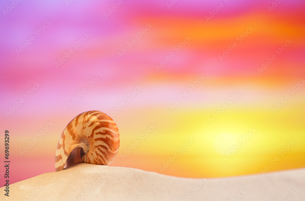 nautilus shell on white beach sand, against sea waves, nautilus shell on white beach sand, against sea waves,