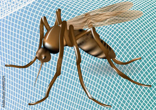 mosquito net and mosquito