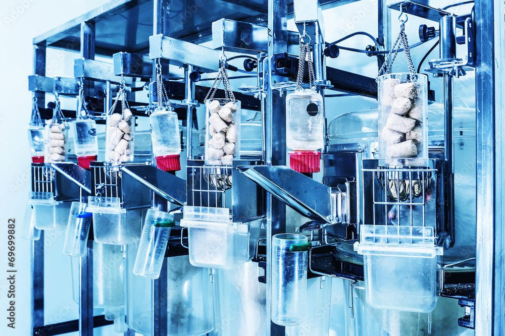 Rats in metabolic cages. In the laboratory. Blue filter. Rats in metabolic cages. In the laboratory. Blue filter.