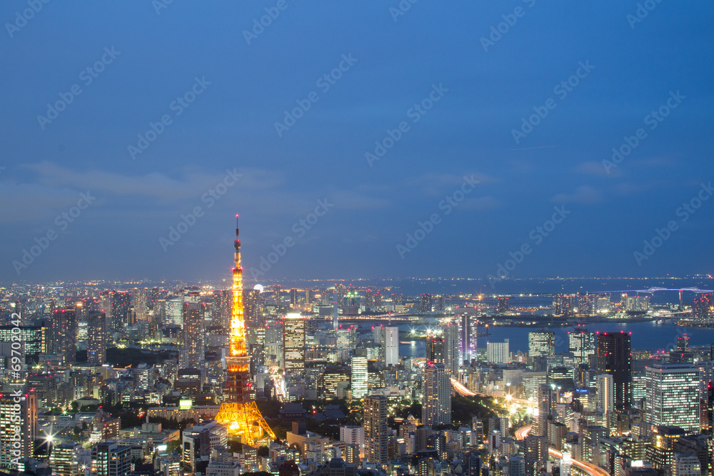 Skyline of Tokyo, Tokyo Tower at Night, Japan.