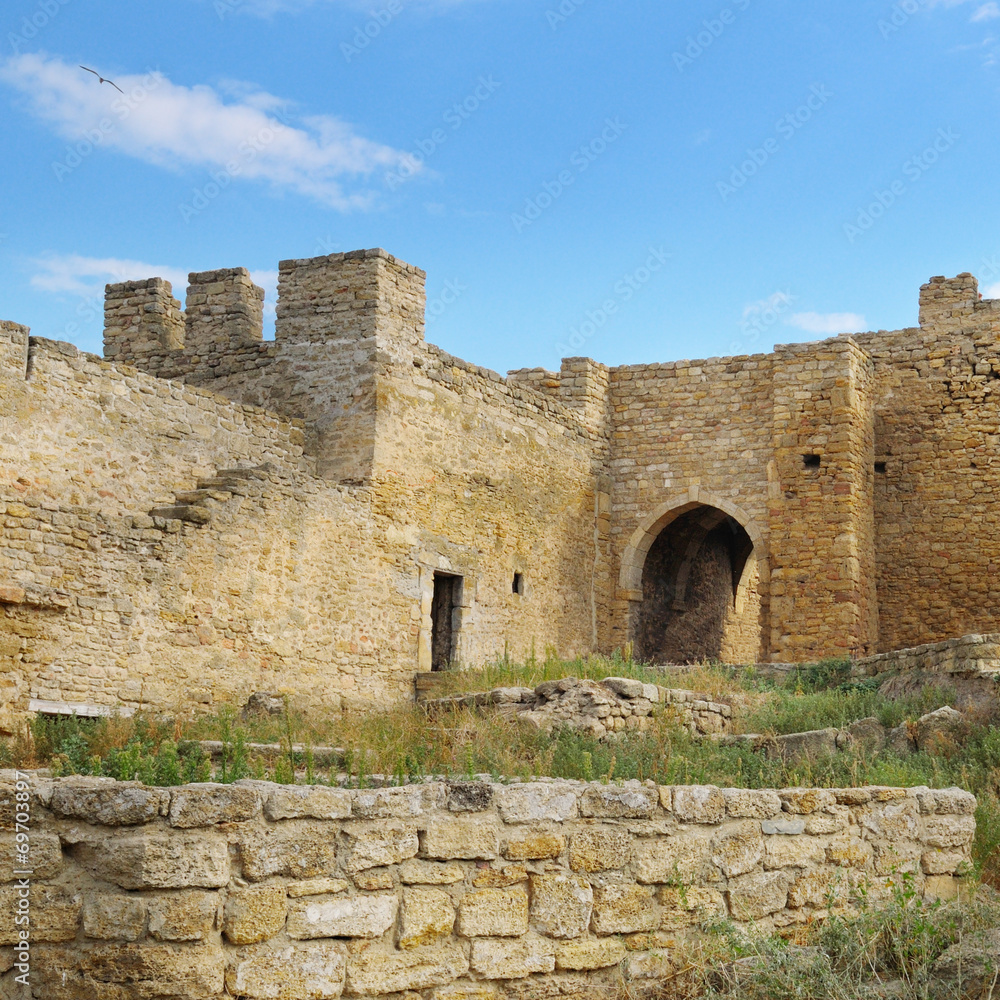 the ruins of a medieval fortress