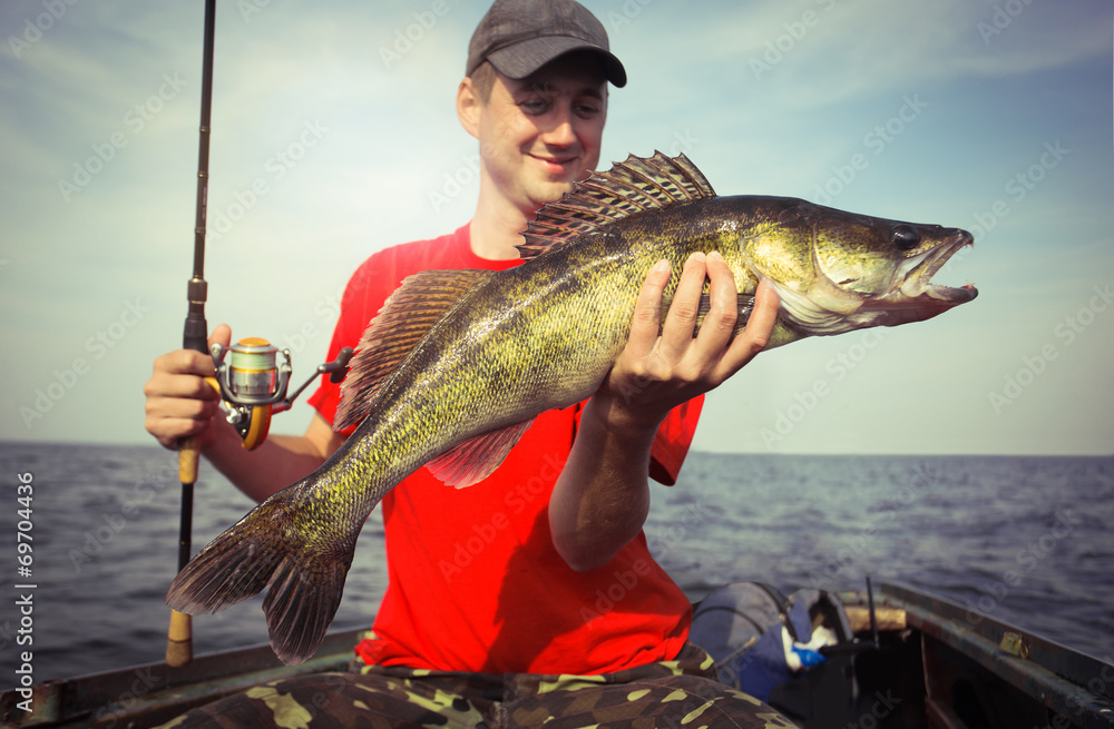 Happy angler with zander fishing trophy Happy angler with zander fishing trophy