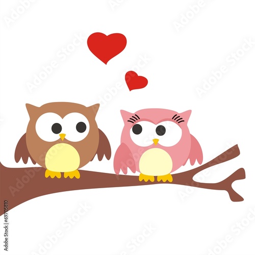 buhos enamorados 4