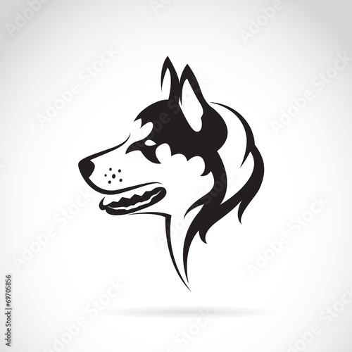 Vector image of a dog siberian husky on white background