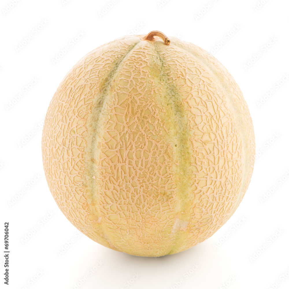 Honeydew melon Honeydew melon