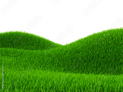 Green hill of grass