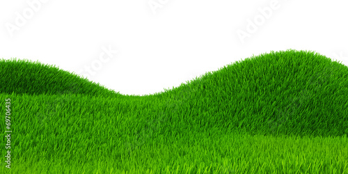 Green field of grass