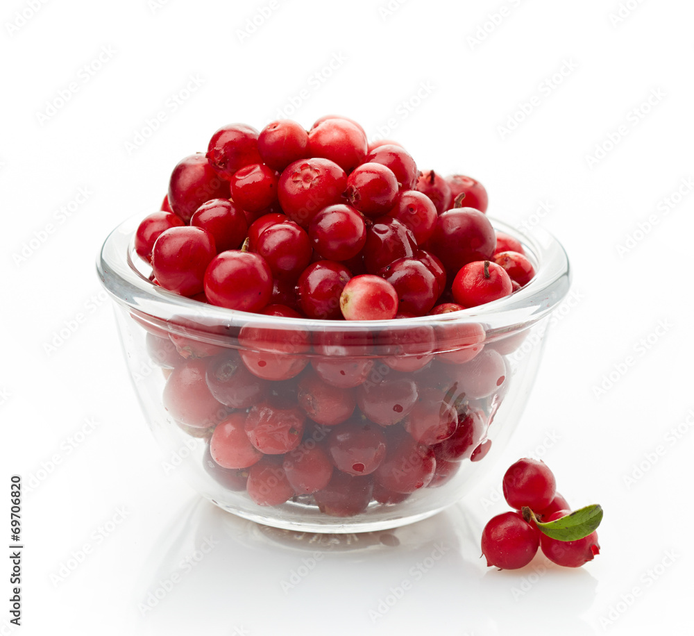 bowl of cowberries bowl of cowberries