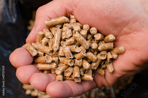 Holzpellets photo