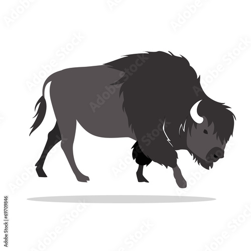 bison