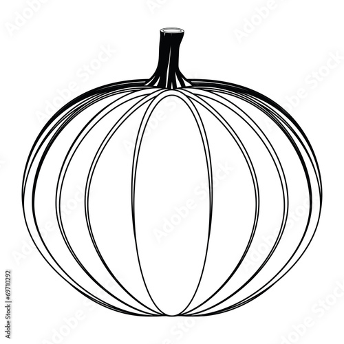 Pumpkin on white background
