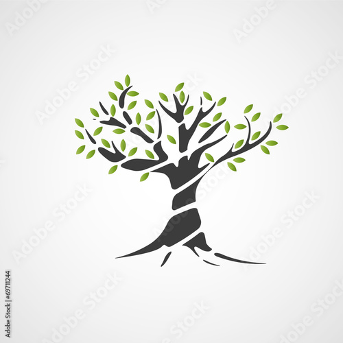 arbre