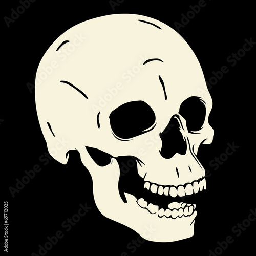 Skull