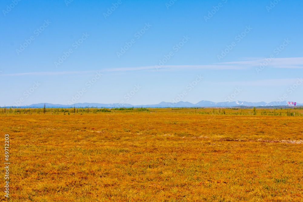 Fototapeta premium nature of the polar region in the autumn