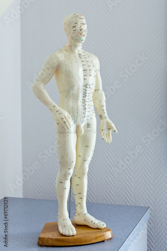 Akupunktur Modell © Henry Schmitt
