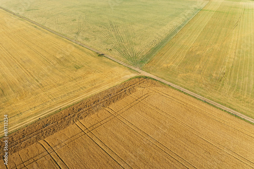 Areal view of corn field photo