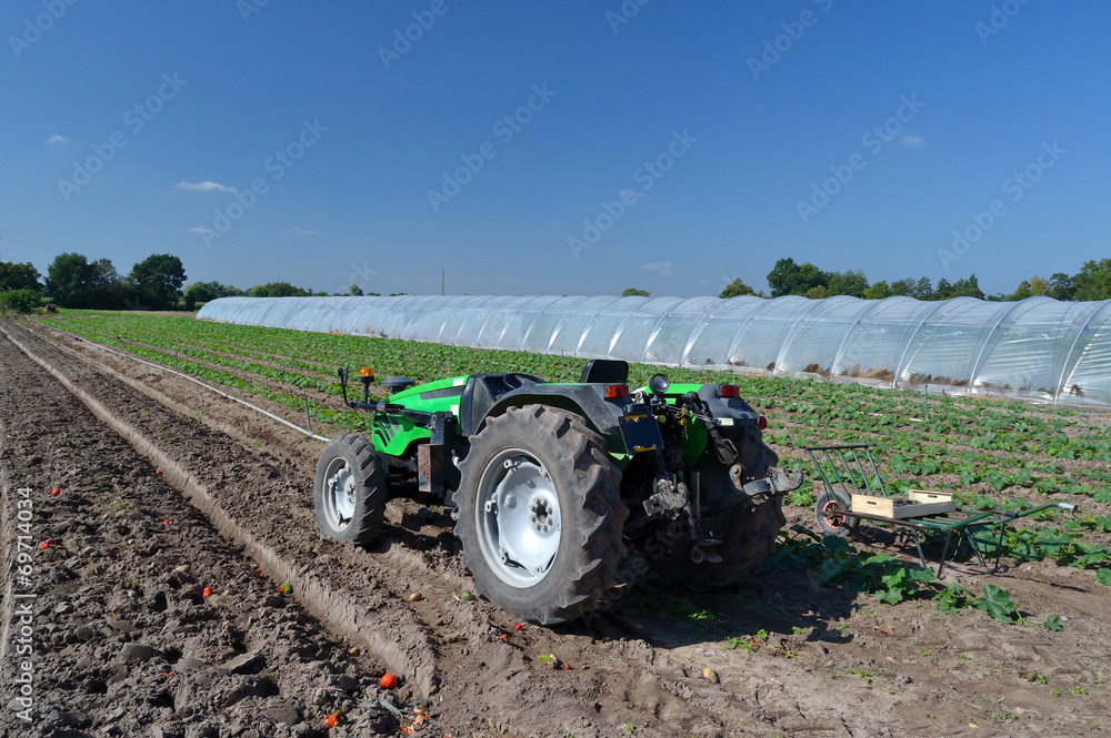 Fototapeta premium Tracteur dans un champ