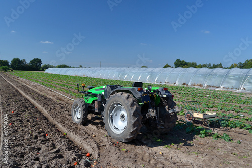 Tracteur dans un champ