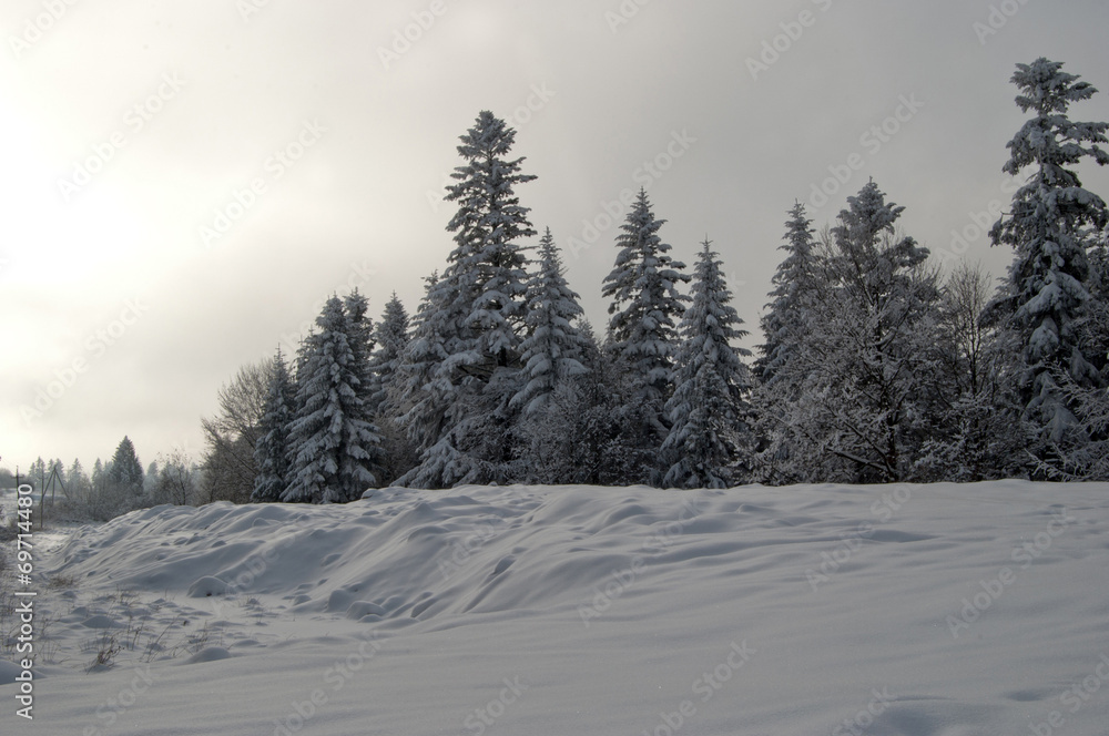 Fototapeta premium dark winter landscape