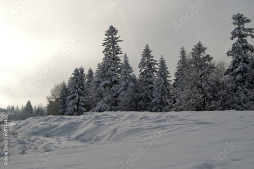 dark winter landscape © Perytskyy