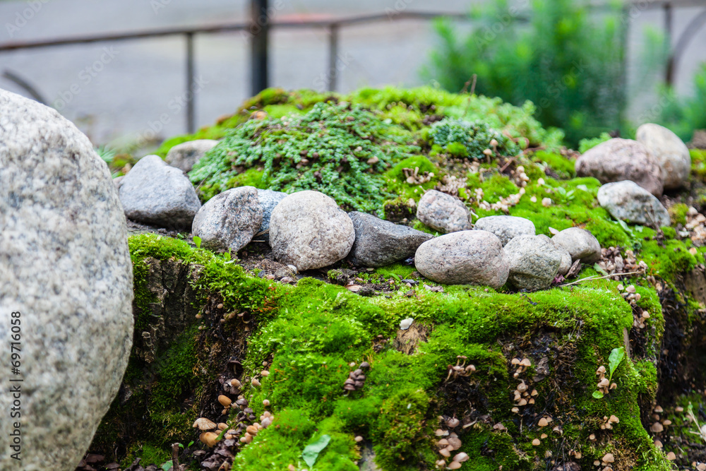 Stones and moss Stones and moss