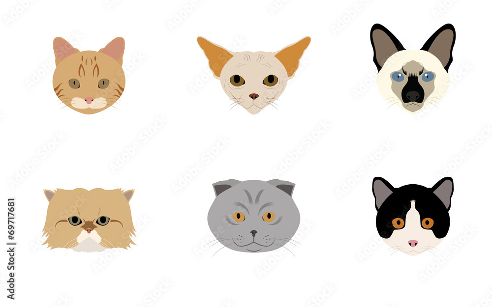 Set of Head Cats Vectors and Icons Set of Head Cats Vectors and Icons