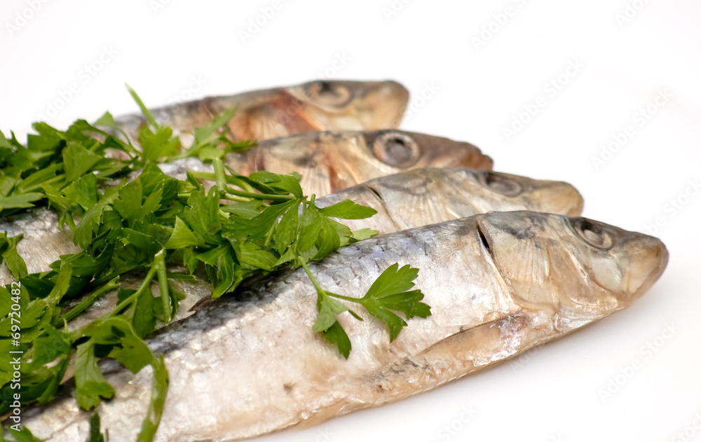 Fresh sardines with parsley leaves Fresh sardines with parsley leaves