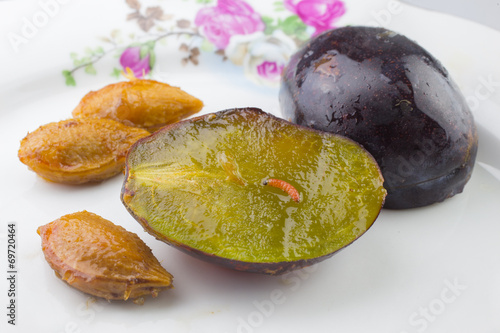 Plum fruit moth - Cydia funebrana - on a plum