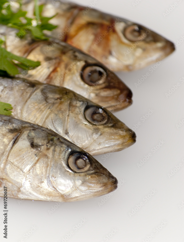 Fresh sardines with parsley leaves Fresh sardines with parsley leaves