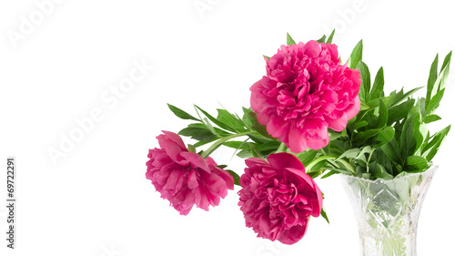 Beautiful bouquet of pink peonies on a white background isolated © Loraliu