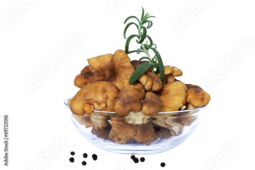 chanterelles with green rosemary in glass bowl