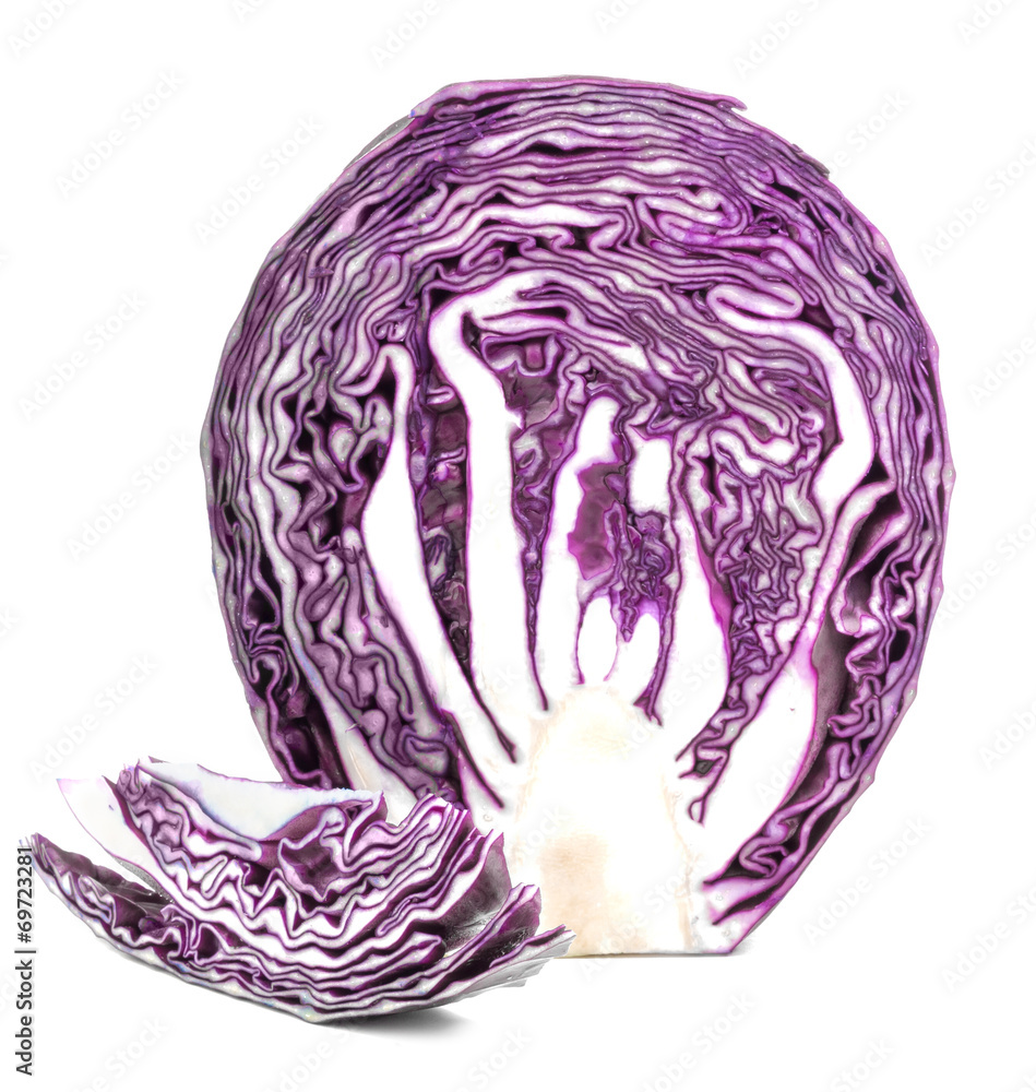 blue cabbage isolated blue cabbage isolated