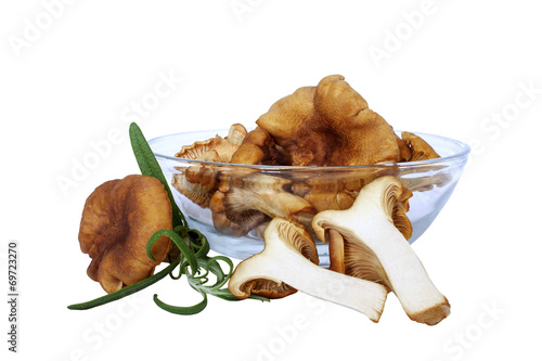 chanterelles with green rosemary in glass bowl