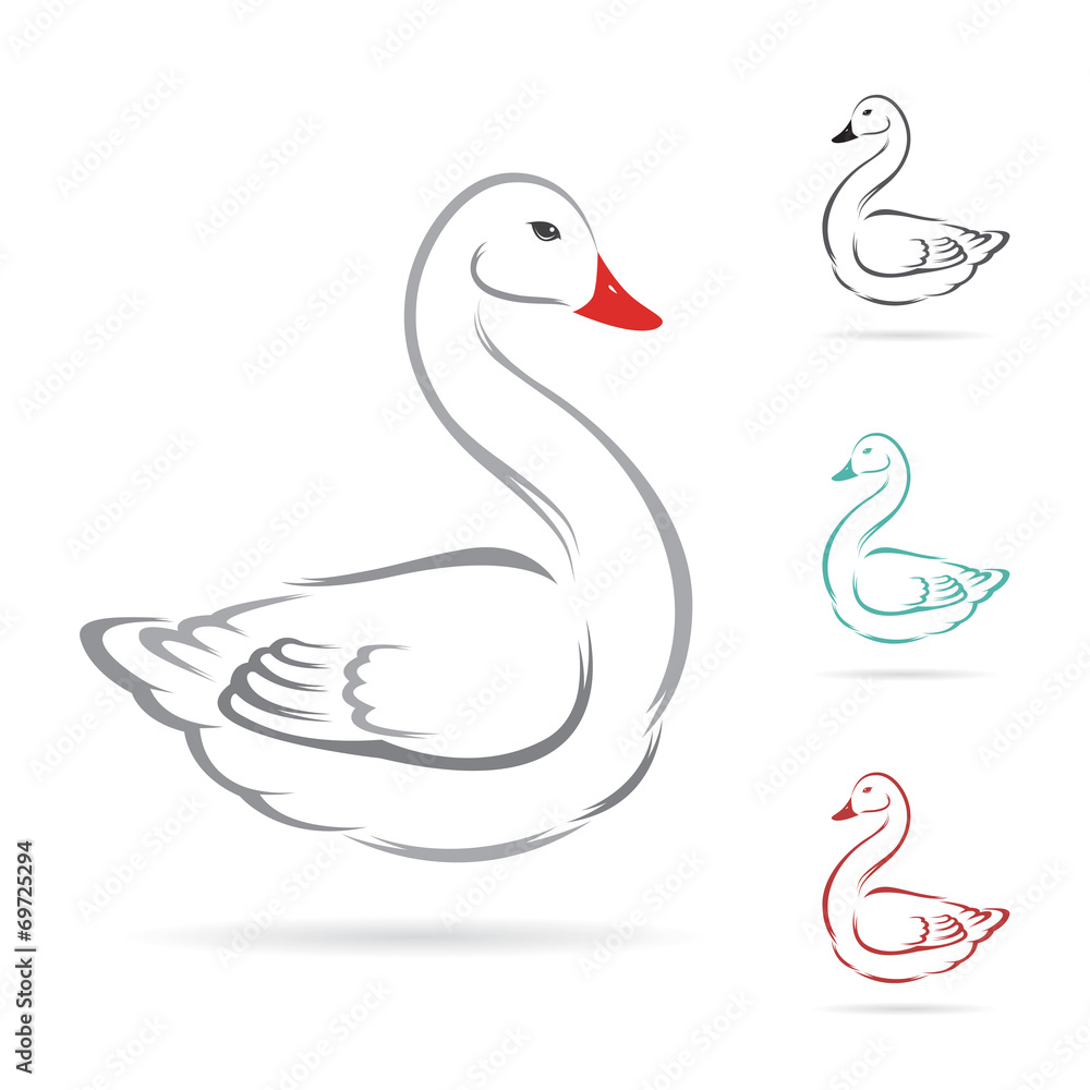 Vector image of swan on a white background.