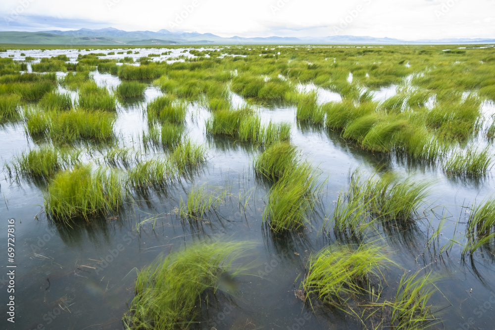 landscape tibet