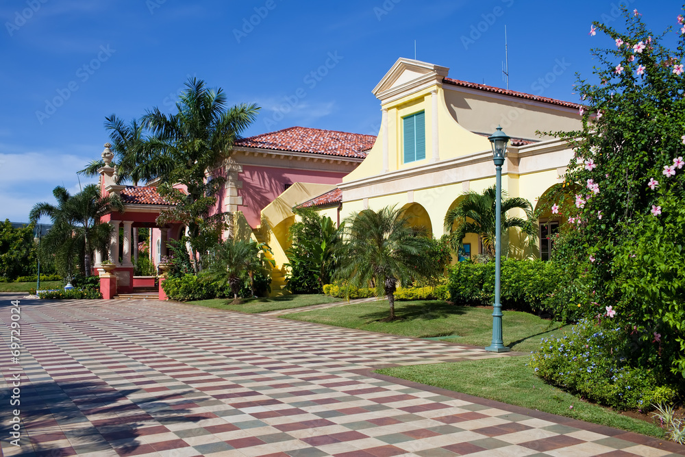 Street with tropical trees