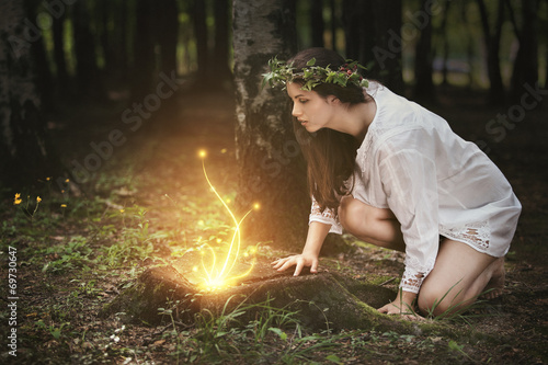 Fairies lights in a magical forest photo