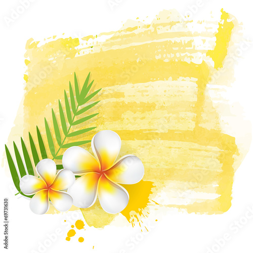 Yellow watercolor with frangipani