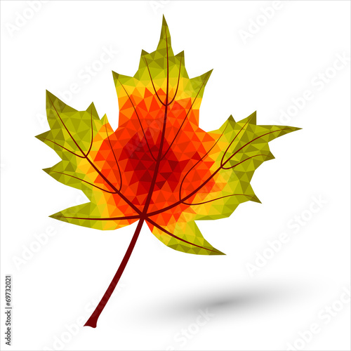 autumn maple leaf in triangular design in autumnal colors