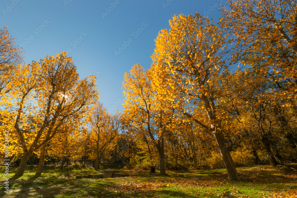 Otoño en El Escorial