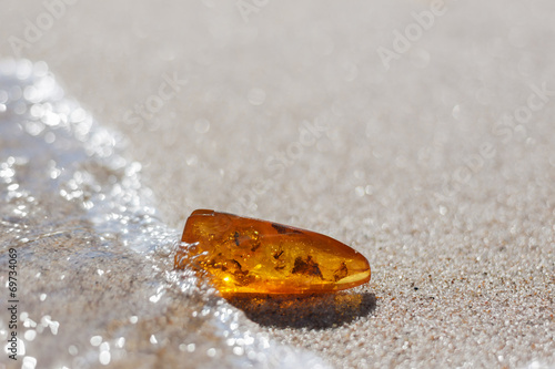 Fotografering amber stone with insect inclusion on sand at baltic seashore