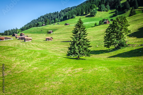 Wooden houses in Malbun in Lichtenstein, Europe