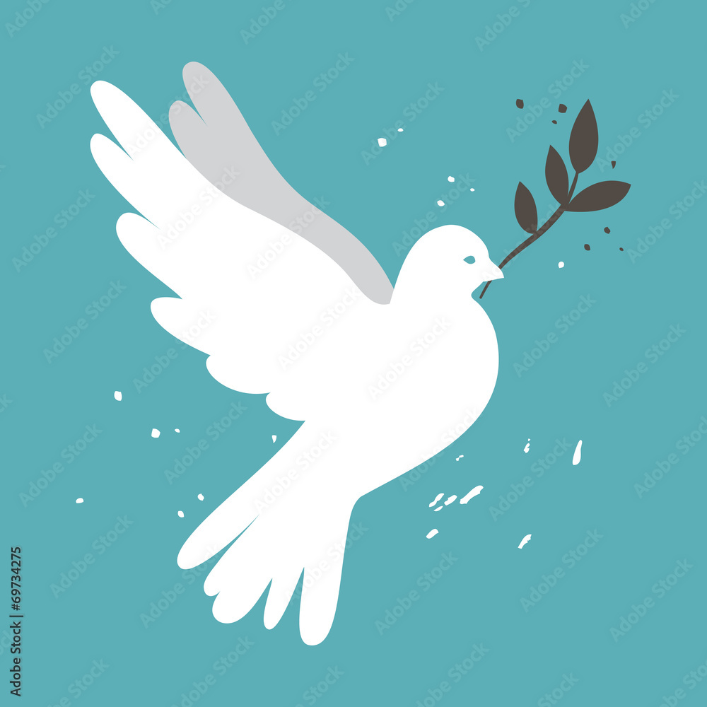 Obraz premium White dove