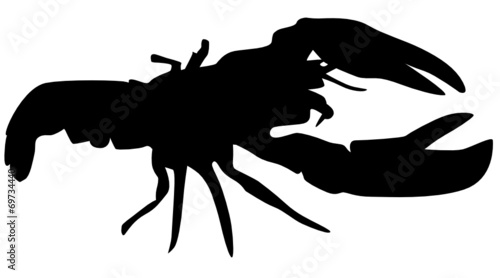 Hummer