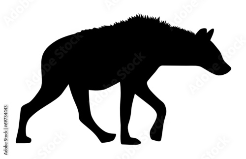 Hyäne