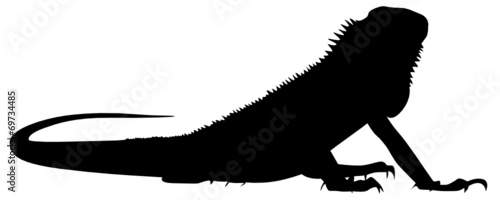 Leguan